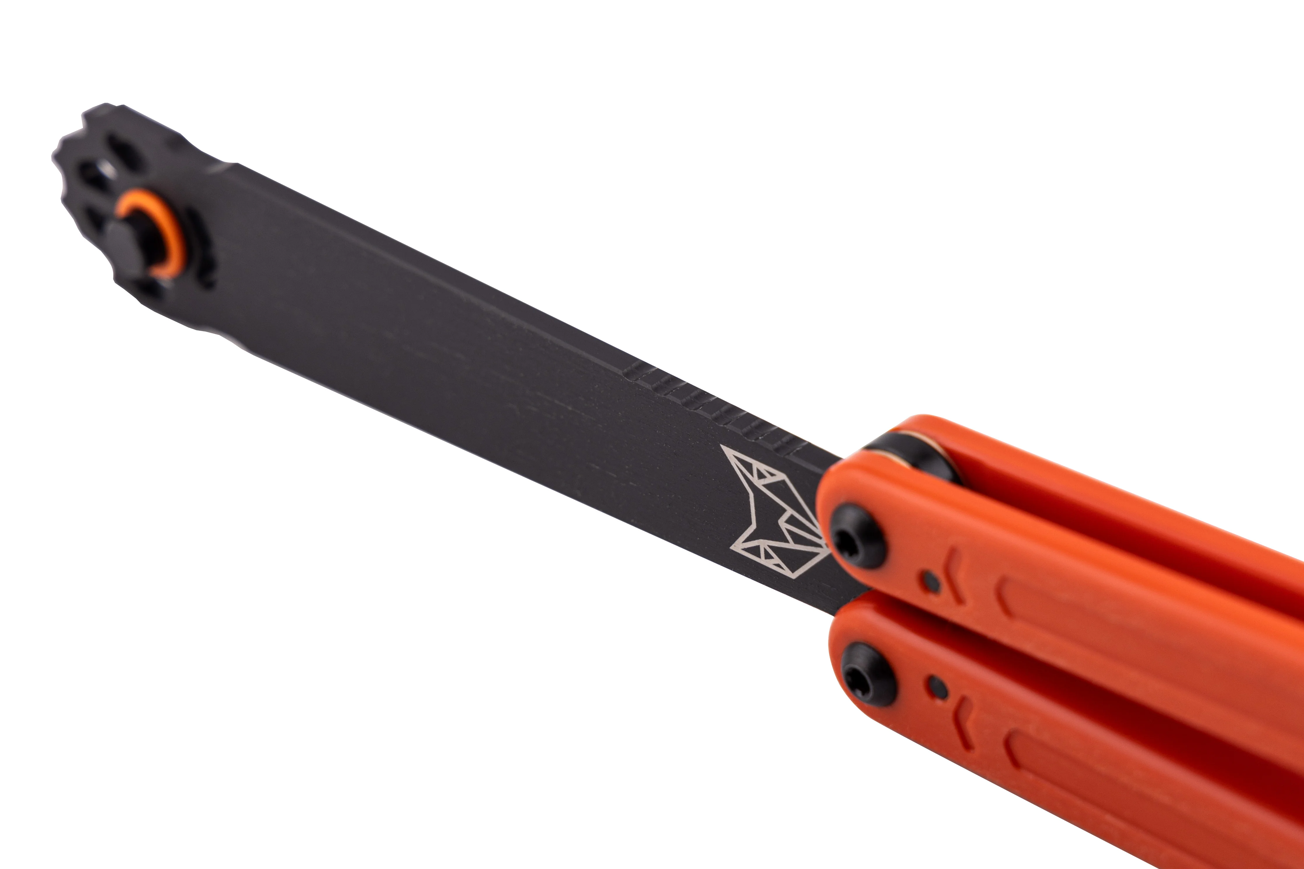 Squiddy-WH - Image 3