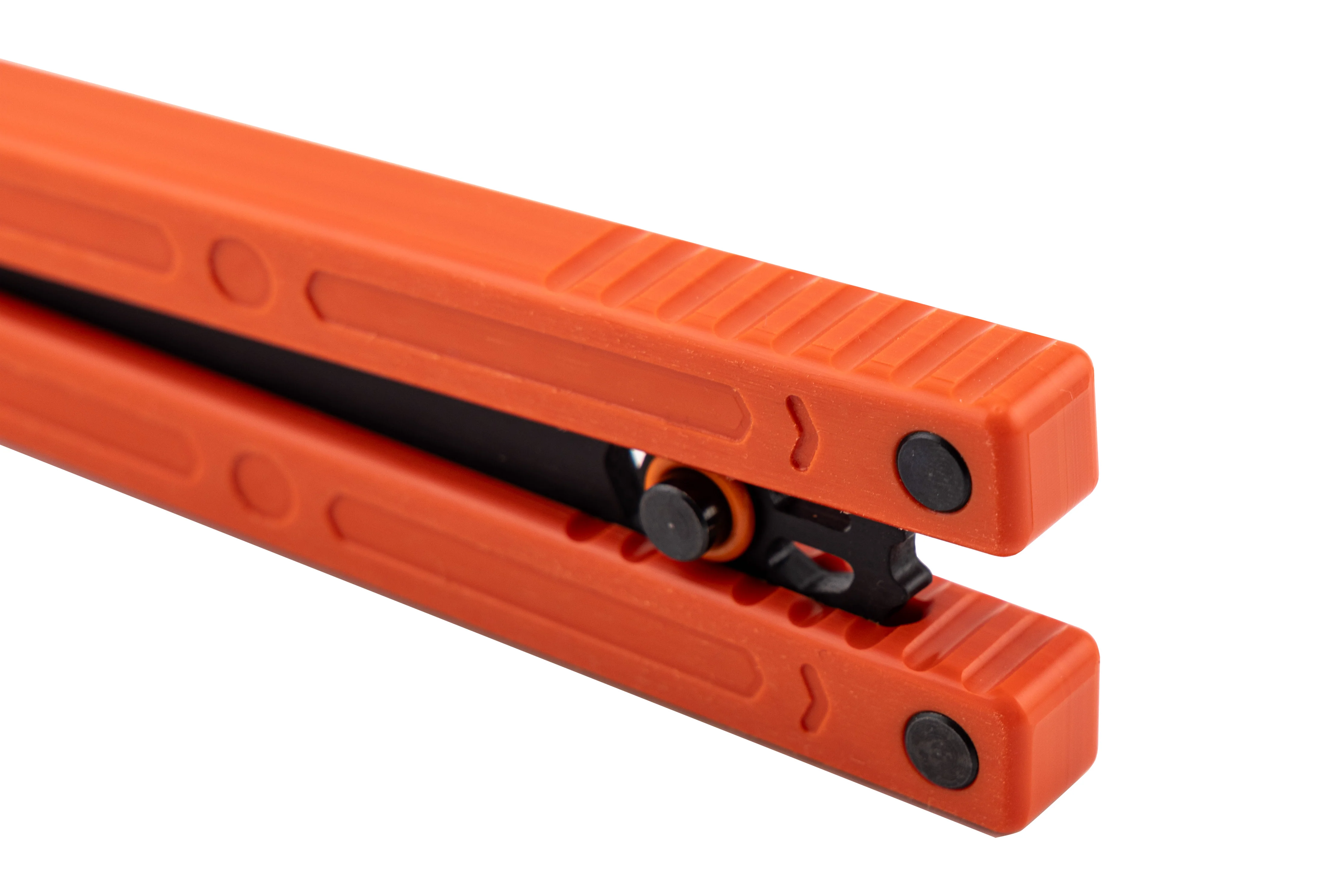 Squiddy-WH - Image 4
