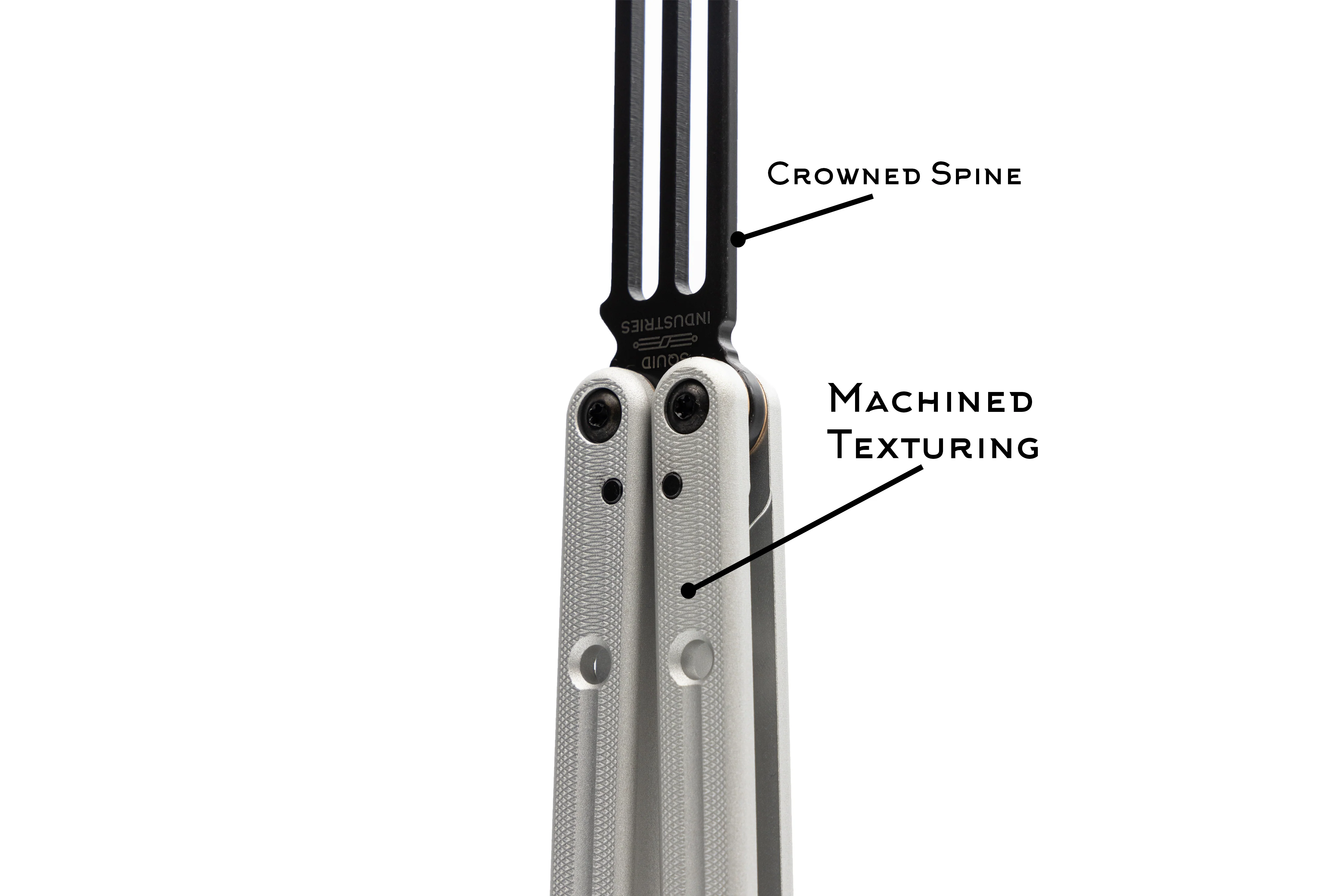Inked Squidtrainer - Image 4