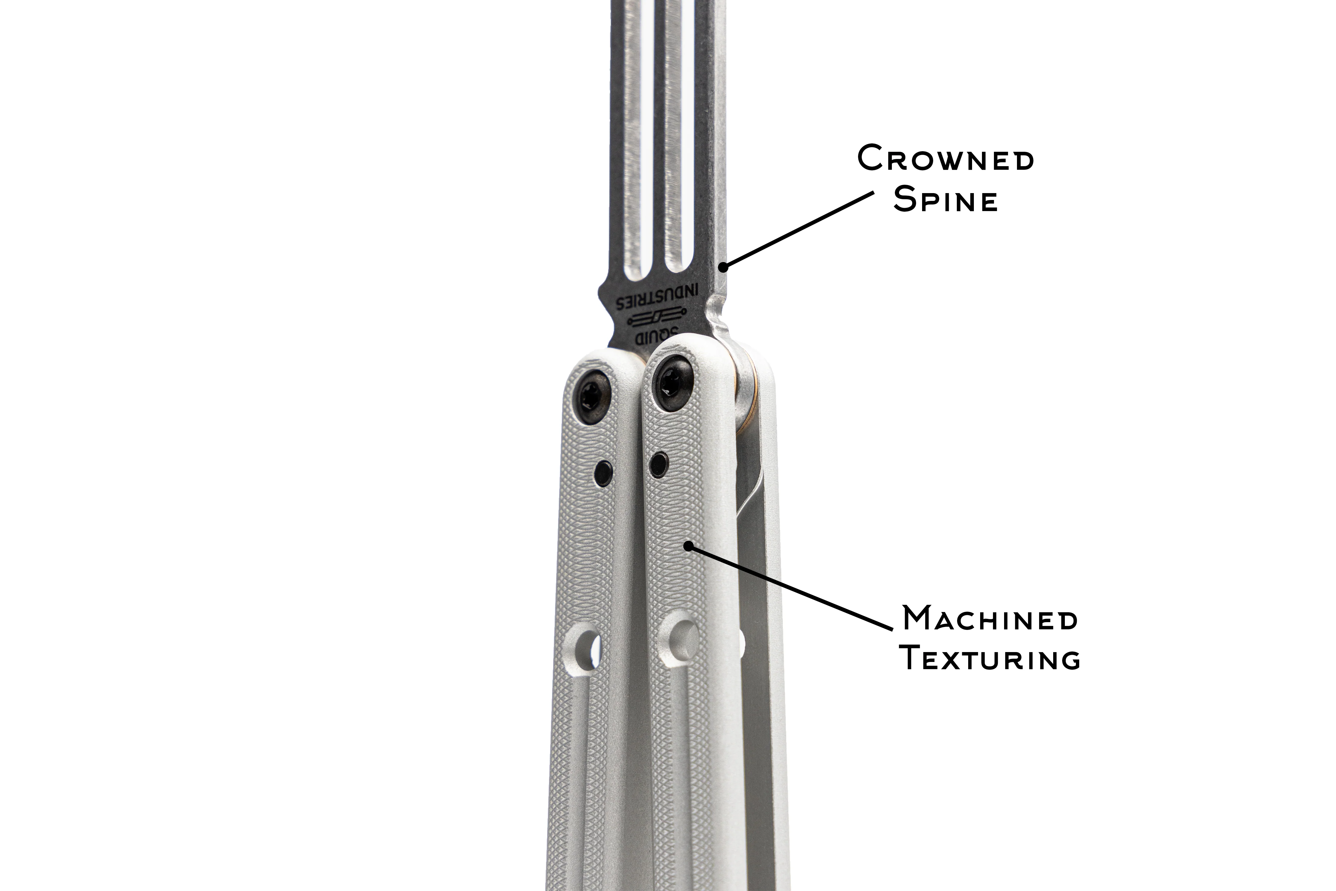 Squidtrainer - Image 10