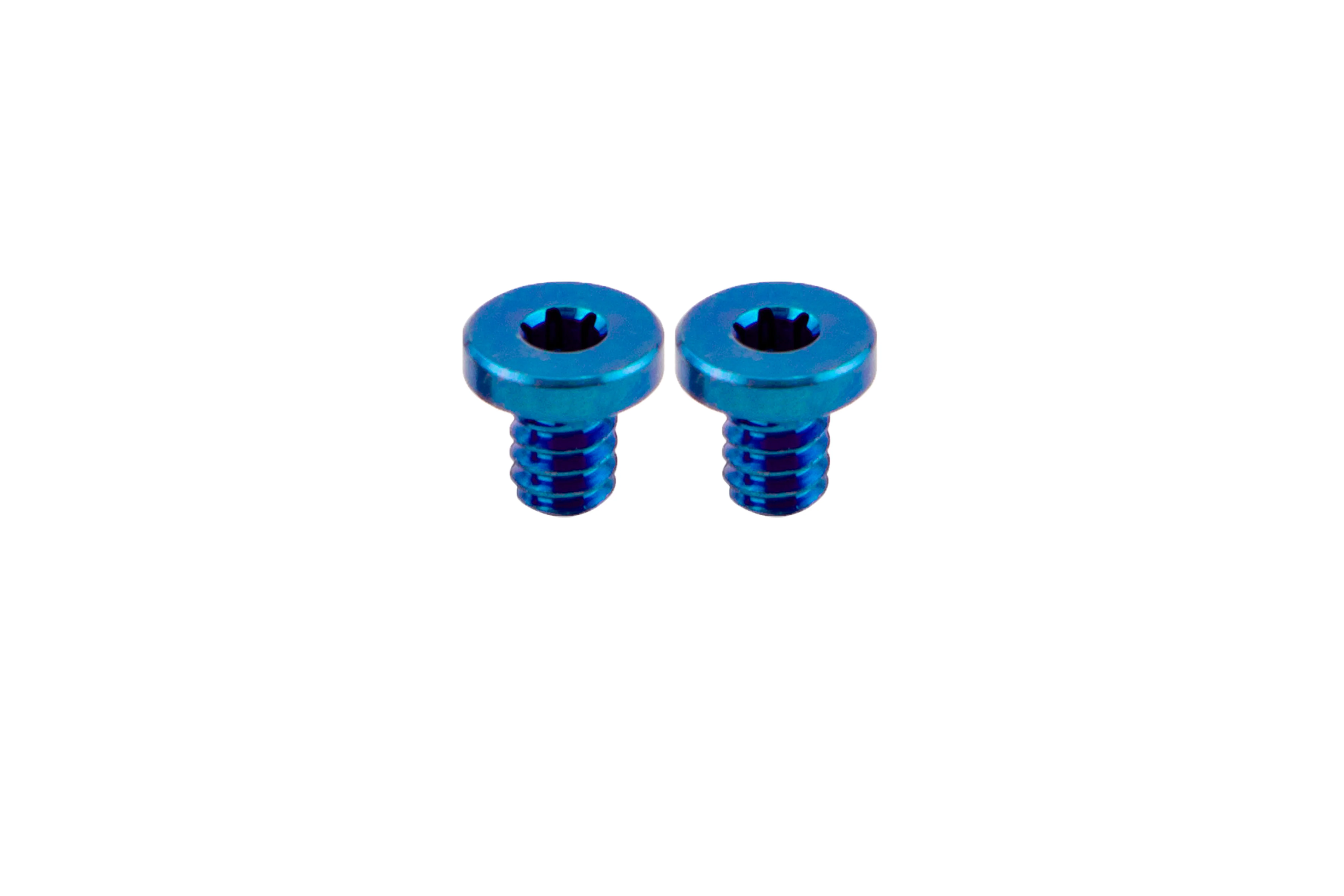 Titanium Flat Screws (1 Pair) - Image 2