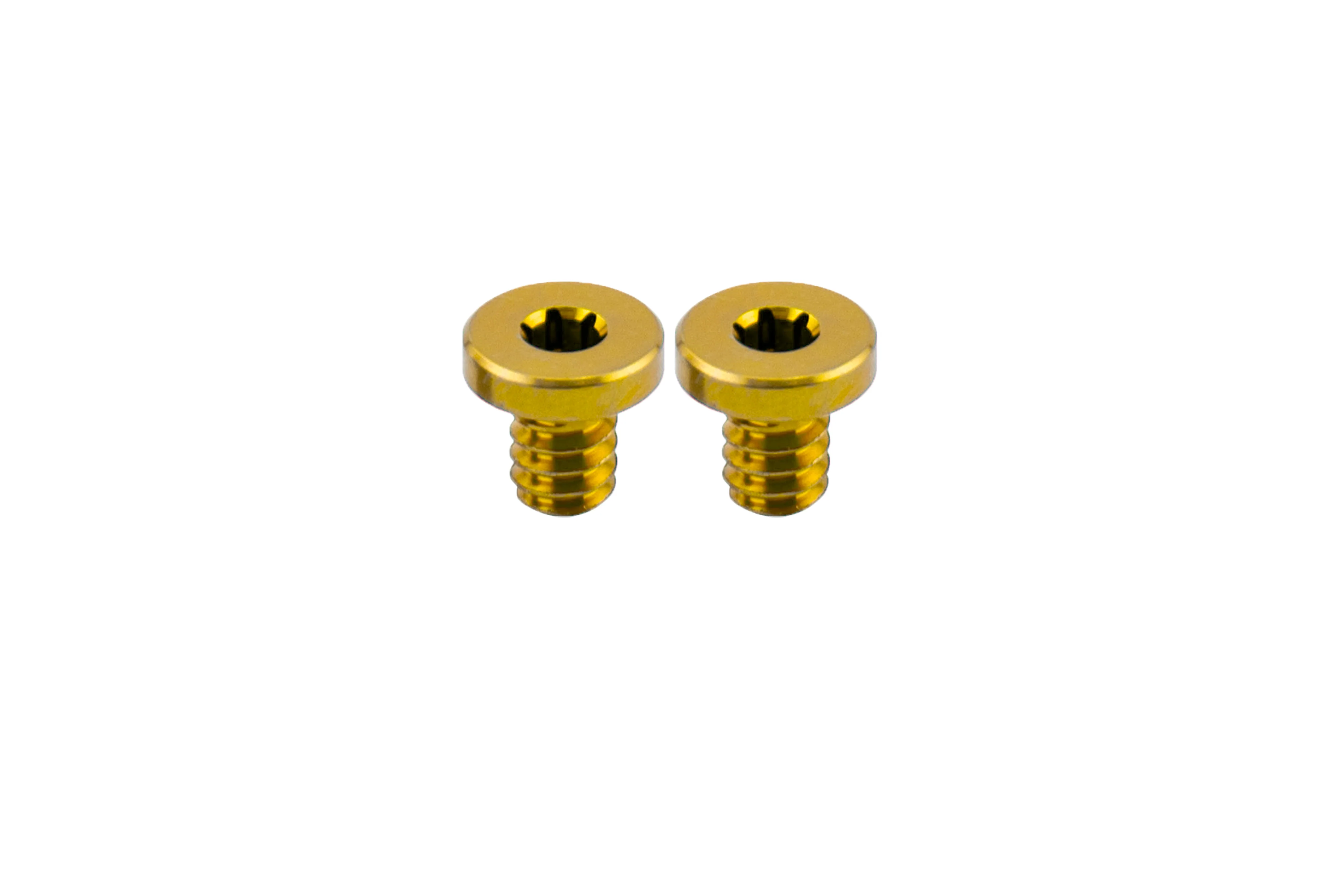 Titanium Flat Screws (1 Pair) - Image 3